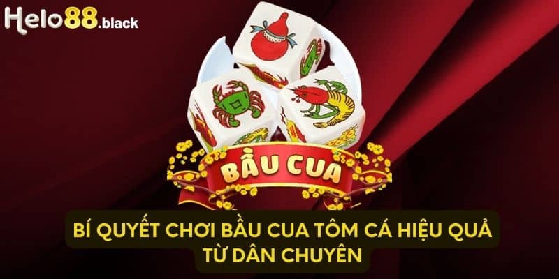 Bí quyết chơi bầu cua tôm cá hiệu quả từ dân chuyên