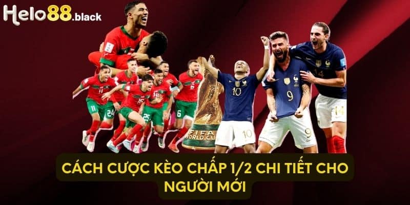 Cách cược kèo chấp 1/2 chi tiết cho người mới