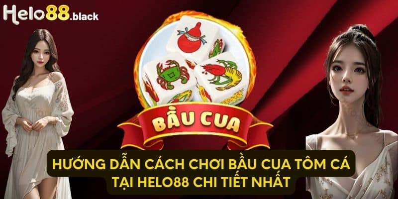 Hướng dẫn cách chơi bầu cua tôm cá tại Helo88 chi tiết nhất