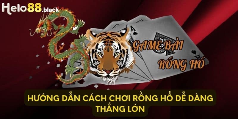 Hướng dẫn cách chơi Rồng Hổ dễ dàng thắng lớn