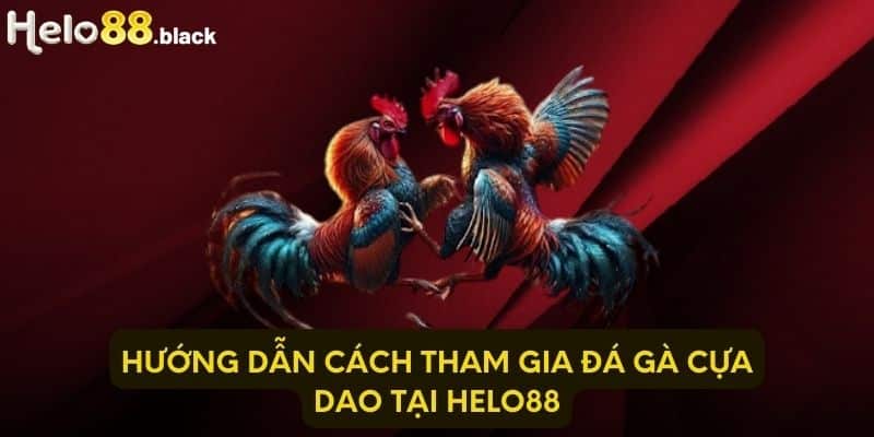 Hướng dẫn cách tham gia đá gà cựa dao tại Helo88