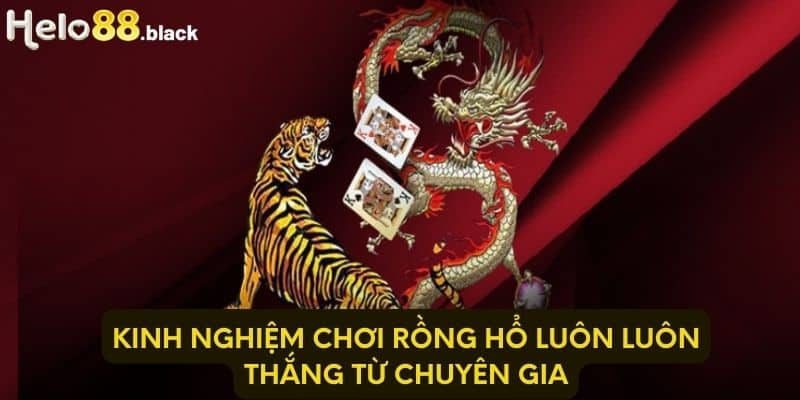 Kinh nghiệm chơi rồng hổ luôn luôn thắng từ chuyên gia