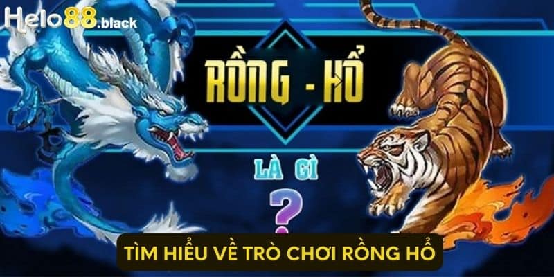 Tìm hiểu về trò chơi Rồng Hổ